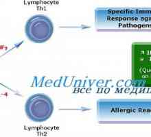 Alergeni. T tipa pomočnik 2 (Th2) pri alergijskih reakcij