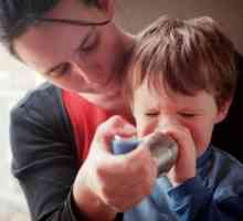Alergijske bolezni respiratornega trakta pri otrocih