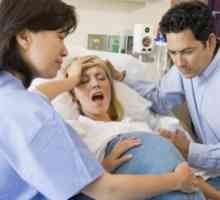 Amniotomy med porodom