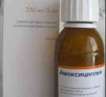 Amoksicilin za želodčne razjede