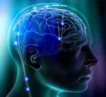 Intermeningeal subarahnoidno sistem možgani