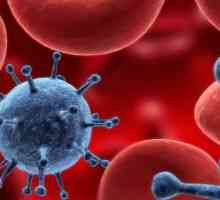 Avtoimunska hemolitična anemija: Zdravljenje, vzroki, simptomi, diagnoza