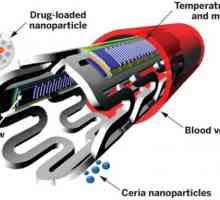 E biološko razgradljiv Stent z nanodelci