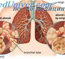 Vpliv kisika na respiratornega centra. Vloga kisika pri uravnavanju dihanja