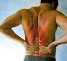 Bolečine v hrbtu z bolečino v ramenskem