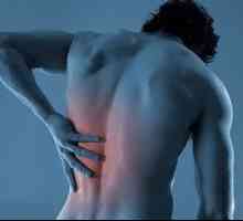 Nazaj bolečine v pankreatitisa in opoyasyvayushie, bolečine v spodnjem delu hrbta na trebušni…