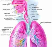 Diagnoza in diferencialna diagnoza pljučnice