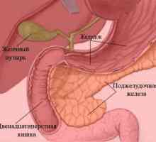 Gastritis in gastroduodenitis: kakšna je razlika?