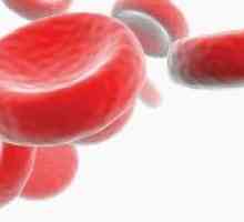 Hemoglobin (hemoglobinopatijami)