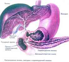 Hepatomegaliji steatoze pankreatitisu in pankreasa in jeter