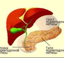 Dimenzije glave pankreasa, stopnja tvorb volumna zdravljenja