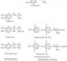 Hormoni - amino kislinski derivati