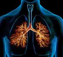 Kronični bronhitis, zdravljenje, simptomi, znaki, vzroki, preprečevanje, odkrivanje