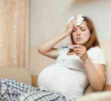 Okužbe med nosečnostjo: zdravljenje, simptomi, znaki, vzroki