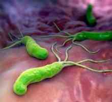 Okužbe z bakterijo Helicobacter pylori: zdravljenje, simptomi, vzroki, diagnoza, simptomi