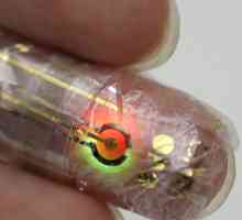 Elektronska koža se bo pojavil v naslednjih letih