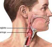 Epiglotitis: Zdravljenje, simptomi, diagnosticiranje, vzroki