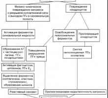 Etiologija in patogeneza osteoartritisa