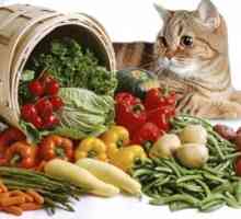 Krma, prehrana in prehrana za pse in mačke s pankreatitisom kot vir?