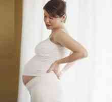 Rdečk v nosečnosti, med nosečnostjo: simptomi, znaki, zdravljenje, vzroki, posledice