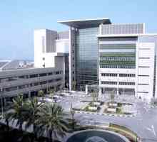 Zdravljenje v Združenih arabskih emiratih ameriški bolnišnici v Dubaju