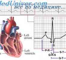 Porazdelitev električnega toka okrog srca. EKG okrog srca