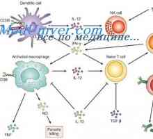 Ligandov efektorjev receptor prirojene imunosti. Peptidoglikana lipopeptidov