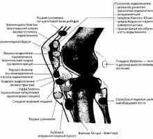 Sevanje in instrumentalne diagnoza kolenskega sklepa patologijo
