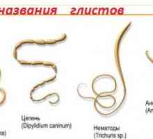 Medicinska znanstveno ime črvi (gliste), kot se imenujejo pri ljudeh?