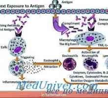 Mehanizmi alergijskih reakcij. Patogeneza alergij
