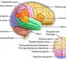 Metastatskim možganskih tumorjev