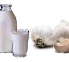 Mleko s česnom proti črevesnih črvov pri otrocih in odraslih, kako piti?