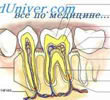 Mineralna presnova v zobe. zobni patologija