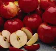 Lahko jesti jabolka za pankreatitis (vnetje jeter, s trebušne slinavke)?