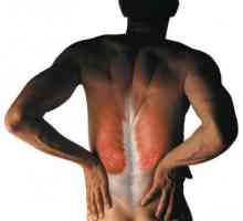 Mišični krči v hrbtu (ledveno)