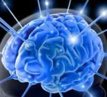 Glialnih sistem možgani
