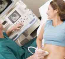 Ocenjevanje in upravljanje zunaj-pljučno izvora respiratorne insuficience v nosečnosti