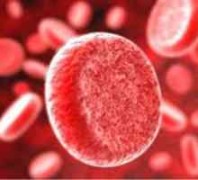Določanje števila trombocitov v krvi