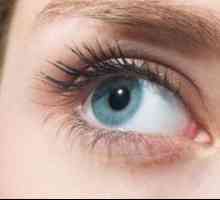 Optični sistem človeškega očesa in njegovih sprememb, povezanih s staranjem