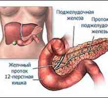 Tumor glave in repa pankreasa