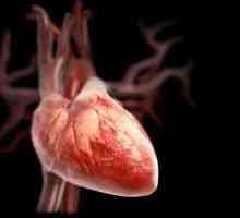 Patologija srca ventili med nosečnostjo