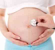 Posteljica med nosečnostjo
