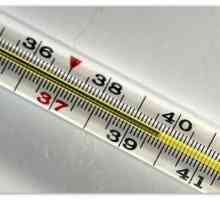Driska in temperatura 39-40 z bruhanjem na otroka in odraslega