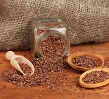 Uporaba semen lanu pri zdravljenju gastritis decoction, pijačo, kaj piti?