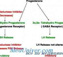 Progesteron sinteza, metabolizem. progesterona receptorji