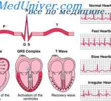 Srčne cikel. Komunikacijske elektrokardiograma in srčno cikel