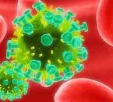 Rak na HIV okuženih