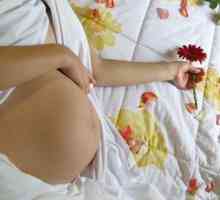 Poškodbe genitalij med nosečnostjo