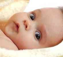 Zgodnji razvoj možganov dojenčka