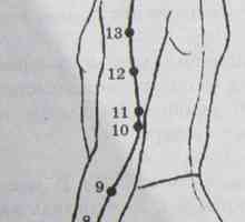 Lokacija in anatomija telesa točk za aromaterapijo. Meridian trije gorilniki